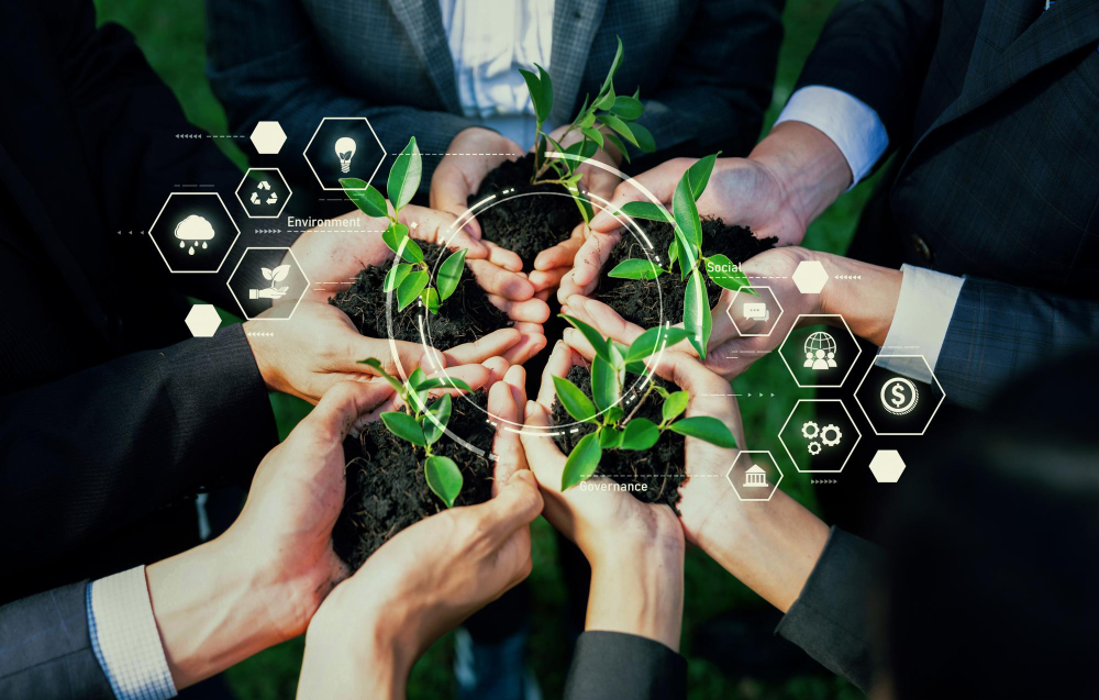 Business sustainability